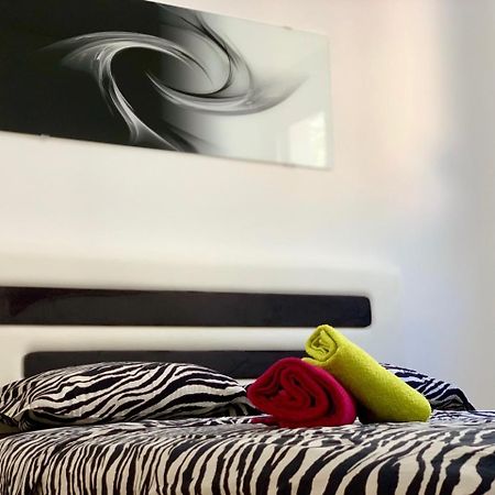 Absolute Apartman Kotor Extérieur photo