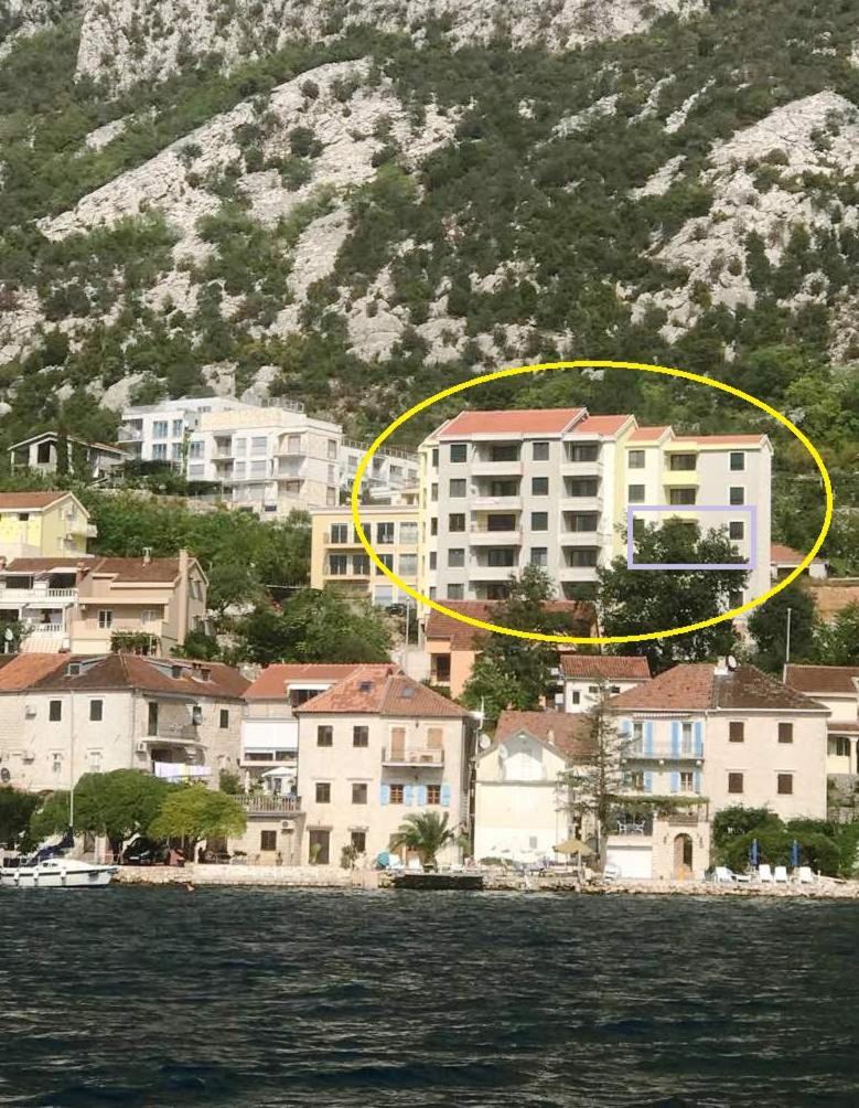 Absolute Apartman Kotor Extérieur photo